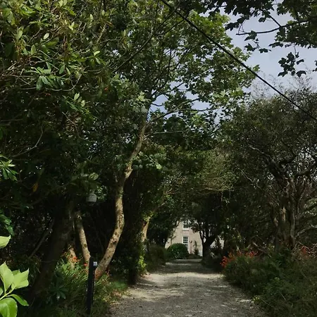 Arch @ The Old Vicarage * Pendeen